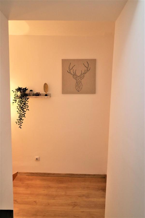 Cozy Old Town Apartment - Free Minibar Bukurešť Exteriér fotografie